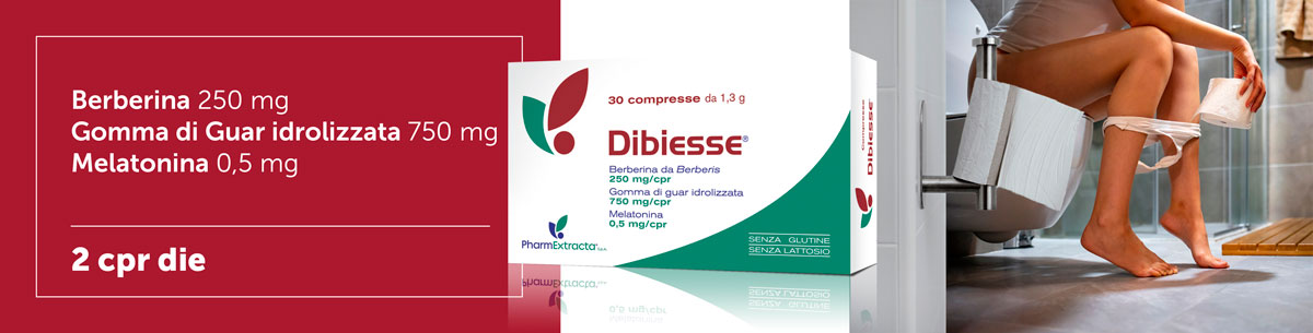 dibiesse